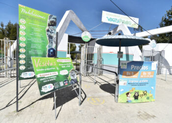 Medio Ambiente autoriza reabrir el Vesty Pakos