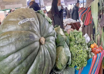 Cairoma hace resurgir el trueque de alimentos