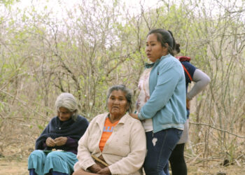 Trabajo impulsa reversión de tierras en favor de guaraníes