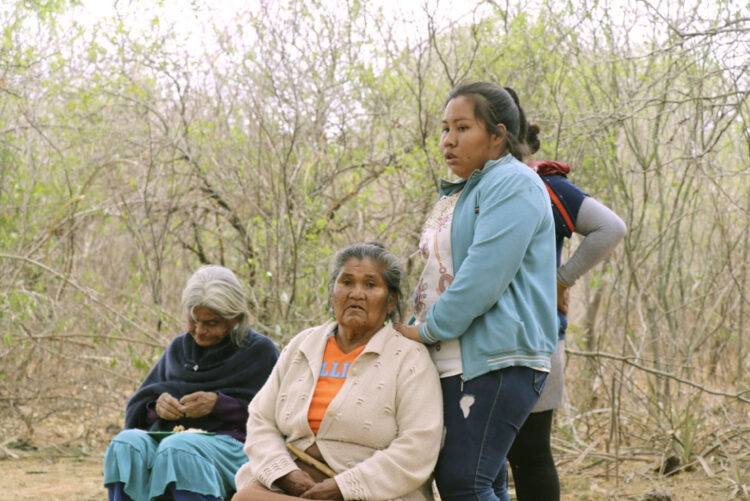 Trabajo impulsa reversión de tierras en favor de guaraníes