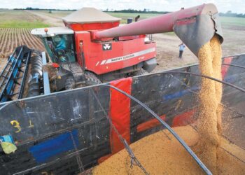 Producción de soya