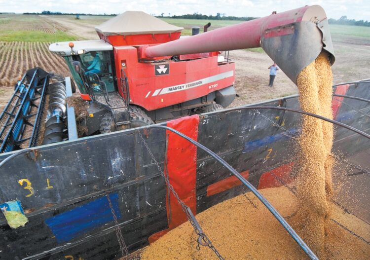 Producción de soya