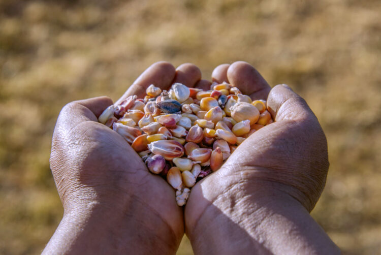 ‘Crianza mutua’ y alimentación son el menú de la RAE