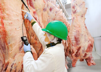 Productos de Fridosa compiten en calidad