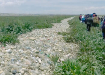 Los plásticos causan daños y muerte en el Titicaca