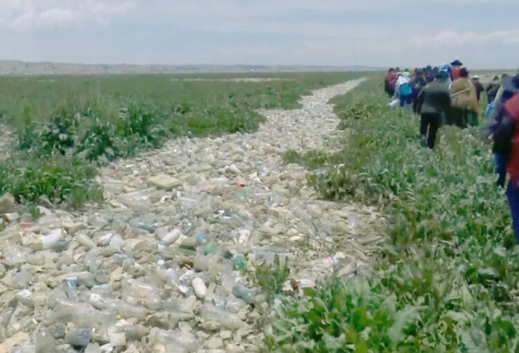 Los plásticos causan daños y muerte en el Titicaca