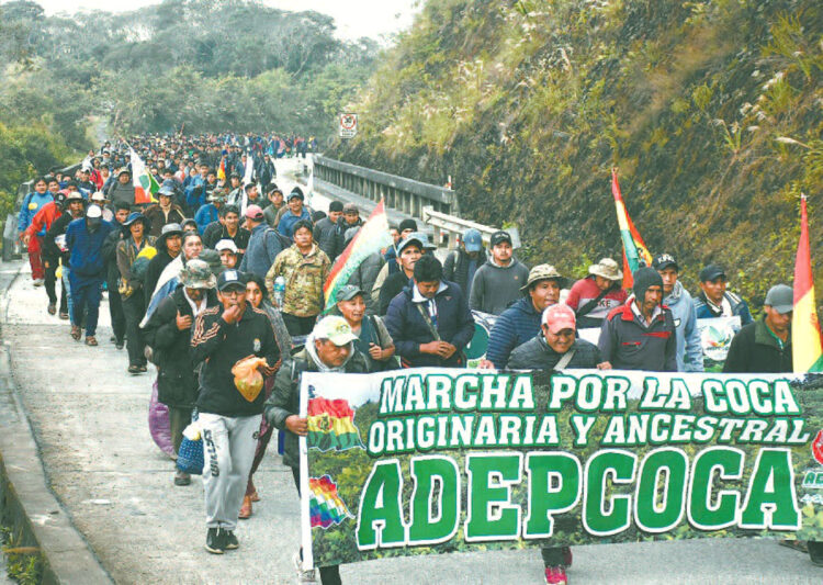 Marcha masiva de cocaleros que llegó a La Paz. Foto: Archivo LR