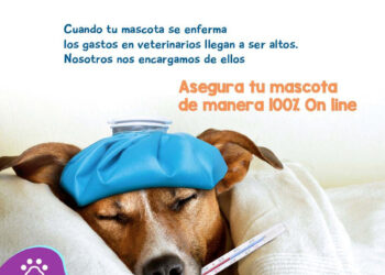 Lanzan seguro 100% digital para mascotas