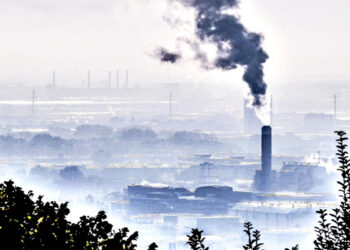 El mundo busca soluciones ante el CALENTAMIENTO GLOBAL