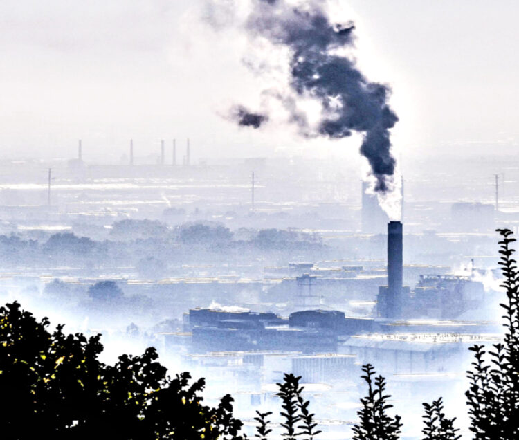 El mundo busca soluciones ante el CALENTAMIENTO GLOBAL