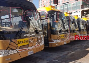 Buses PumaKatari. Foto: Pedro Luna