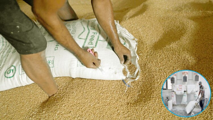 Guerra en Ucrania: India ya no exportará trigo