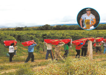 El singani conquista mercados de Asia y Europa