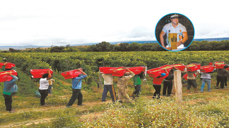 El singani conquista mercados de Asia y Europa