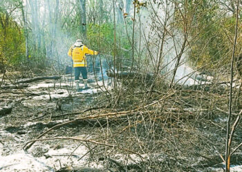 Decretan alerta roja en Santa Cruz por incendios forestales