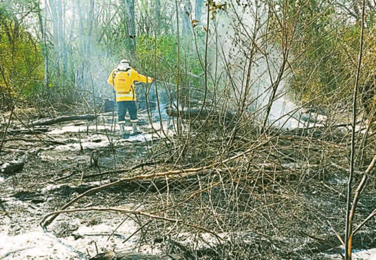 Decretan alerta roja en Santa Cruz por incendios forestales