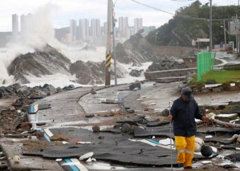 Tifón Hinnamnor deja un muerto y varios desaparecidos en Corea del Sur