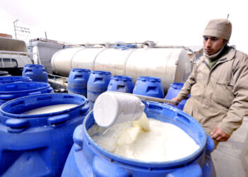 En una década el consumo de leche se duplicó