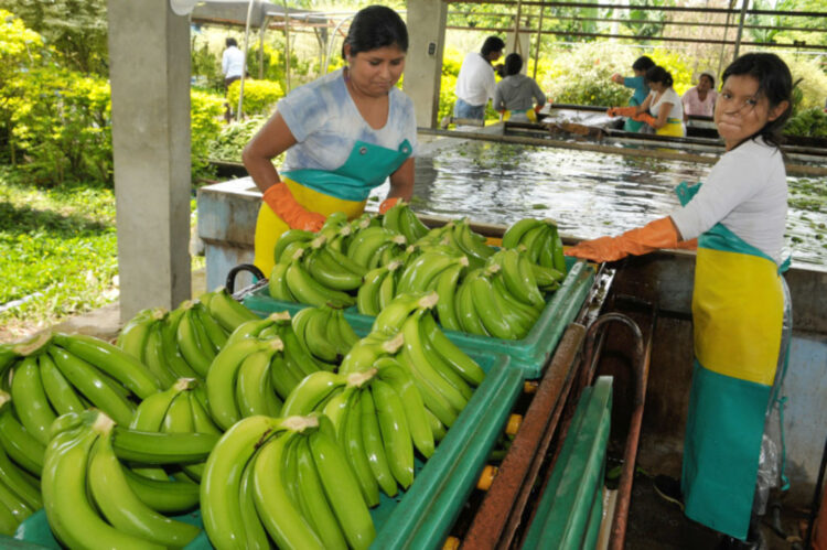 Huaynafex reunirá a 300 empresas de Bolivia y Perú