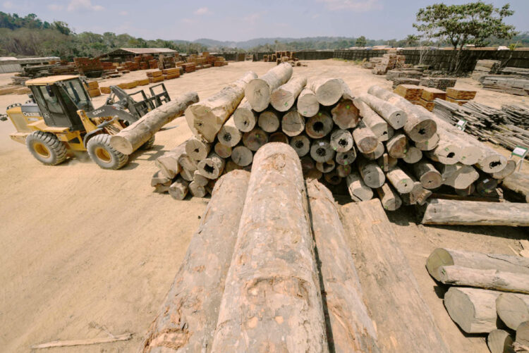 Madera: Sector muestra signos de recuperación con elevado crecimiento