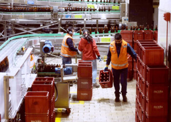 Cae producción de cerveza un 20%, una de las principales industrias del país