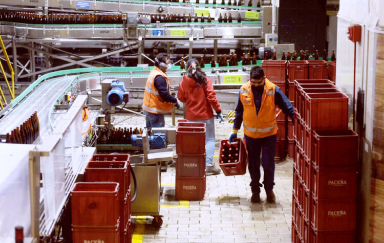 Cae producción de cerveza un 20%, una de las principales industrias del país