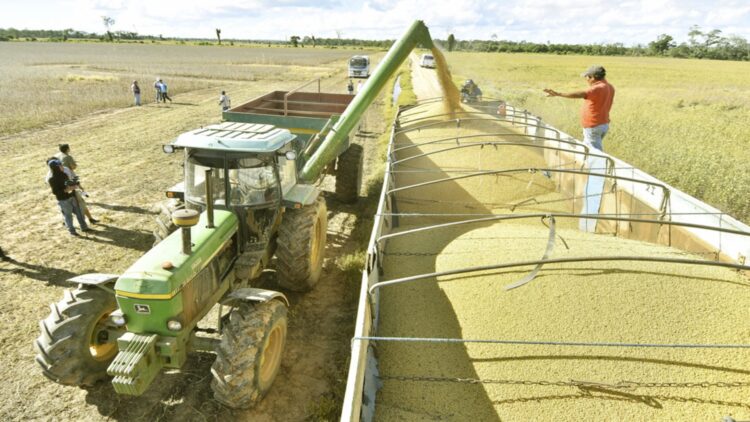 Ingreso de divisas por la exportación de soya creció en 64% hasta mayo