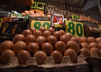 Oferta de huevos. Foto: ADA