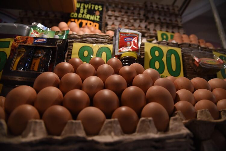 Oferta de huevos. Foto: ADA