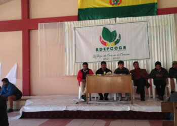 Amplían plazo para el cierre del mercado paralelo de coca