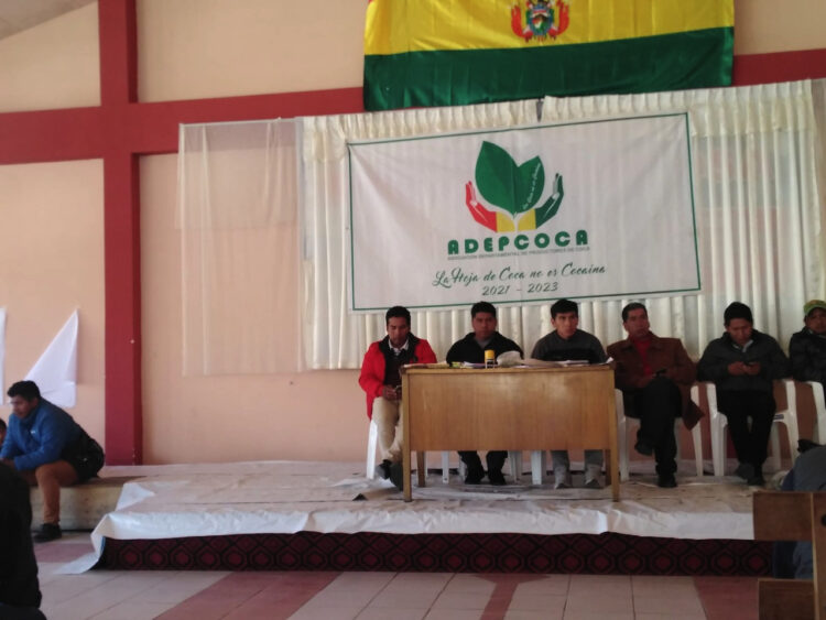Amplían plazo para el cierre del mercado paralelo de coca