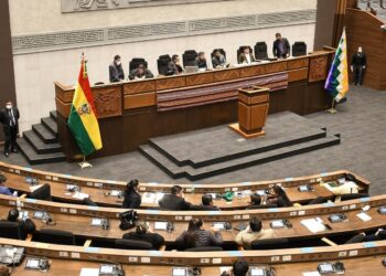 Fijan para el jueves elección del nuevo Defensor, el MAS necesita 14 votos de la oposición para 2/3