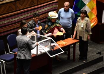 Defensor del Pueblo: El MAS pide reunión de bancadas y alista plan B ante posible fracaso