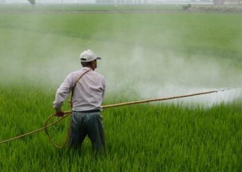 Cámara de Diputados de Brasil aprueba polémico proyecto que flexibiliza el uso de agrotóxicos