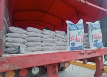 Concluyen obras en Puerto Villarroel y se habilita comercio al Atlántico por hidrovía Ichilo-Mamoré