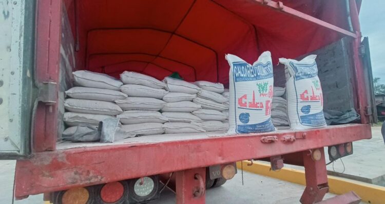 Concluyen obras en Puerto Villarroel y se habilita comercio al Atlántico por hidrovía Ichilo-Mamoré