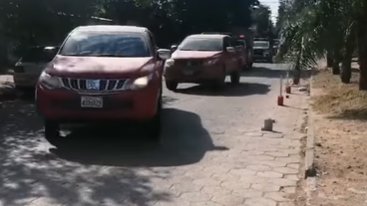 Secuestran cuatro vehículos indocumentados en operativo en Santa Cruz