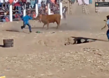 Corrida de toros en Yamparáez deja un fallecido y más de una decena de heridos