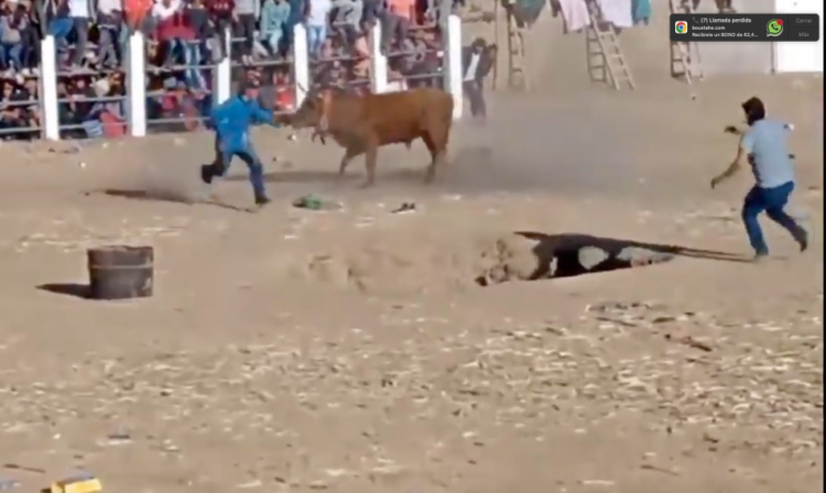 Corrida de toros en Yamparáez deja un fallecido y más de una decena de heridos
