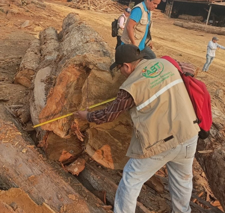 La ABT incauta gran cantidad de madera en una playa de acopio ilegal en Ixiamas