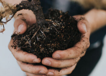Un movimiento defiende los entierros ecorresponsables con compost humano en EEUU