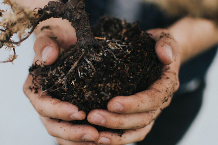 Un movimiento defiende los entierros ecorresponsables con compost humano en EEUU