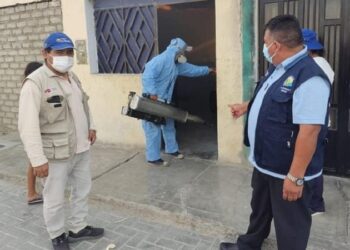 Perú declara alerta epidemiológica por brote de dengue con ocho muertos