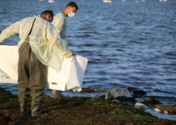 Diecisiete cadáveres de migrantes, arrojados por el mar frente a costas de Túnez