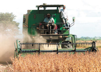 El Gobierno crea nueva empresa para la producción y comercialización agropecuaria