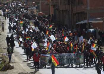 Conflicto en Adepcoca: La tensión vuelve a La Paz con dos marchas de cocaleros