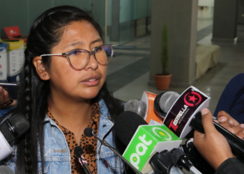 Copa: No invitar al presidente Luis Arce a los festejos del 24 de septiembre es desatinado