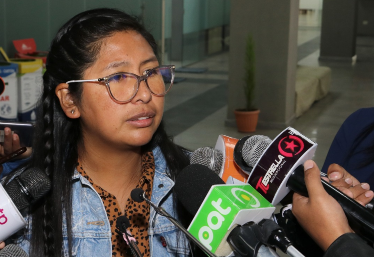 Copa: No invitar al presidente Luis Arce a los festejos del 24 de septiembre es desatinado