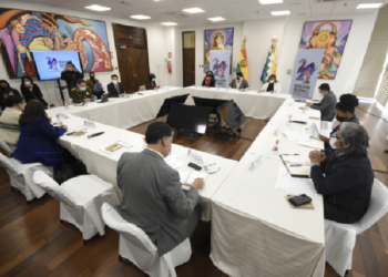 Arce promulga hoy una nueva ley contra la violencia