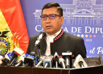 El presidente de Diputados insiste que en el MAS no hay división, sino ‘diferencias’